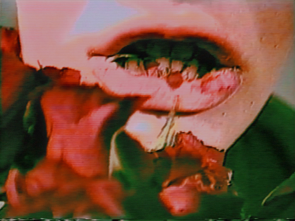 Esther Hunziker – Blossom Time, Video, 1993