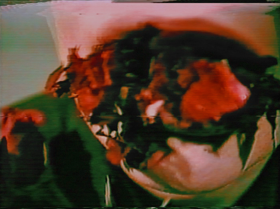 Esther Hunziker – Blossom Time, Video, 1993
