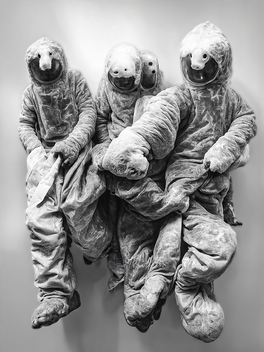 AI generated Bandphoto for Sc'ööf