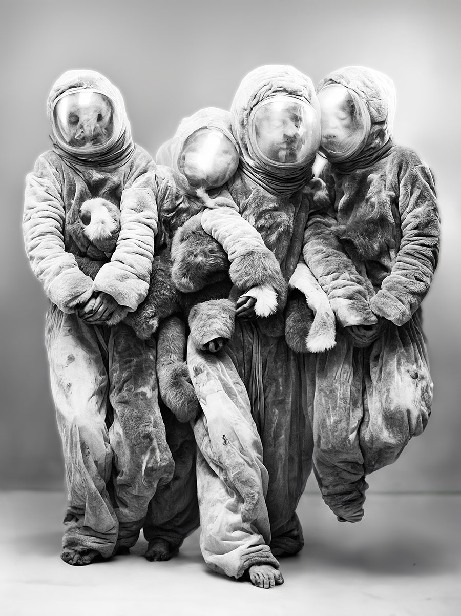 AI generated Bandphoto for Sc'ööf
