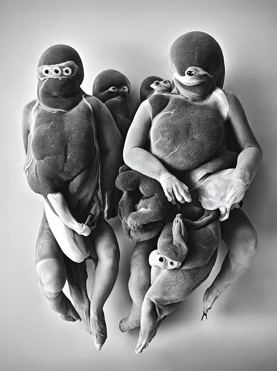 AI generated Bandphoto for Sc'ööf