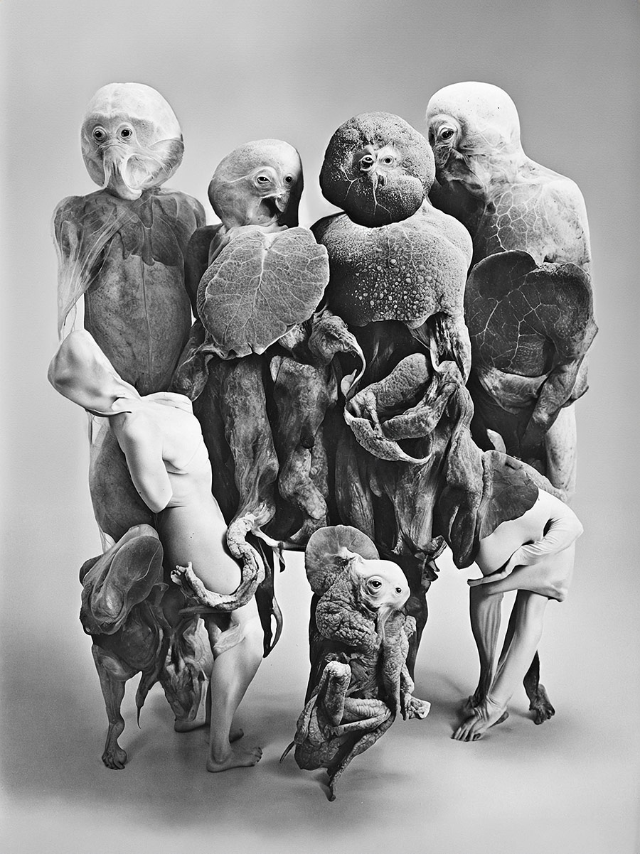 AI generated Bandphoto for Sc'ööf