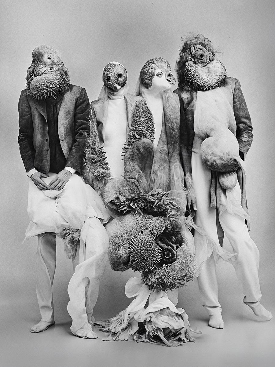 AI generated Bandphoto for Sc'ööf