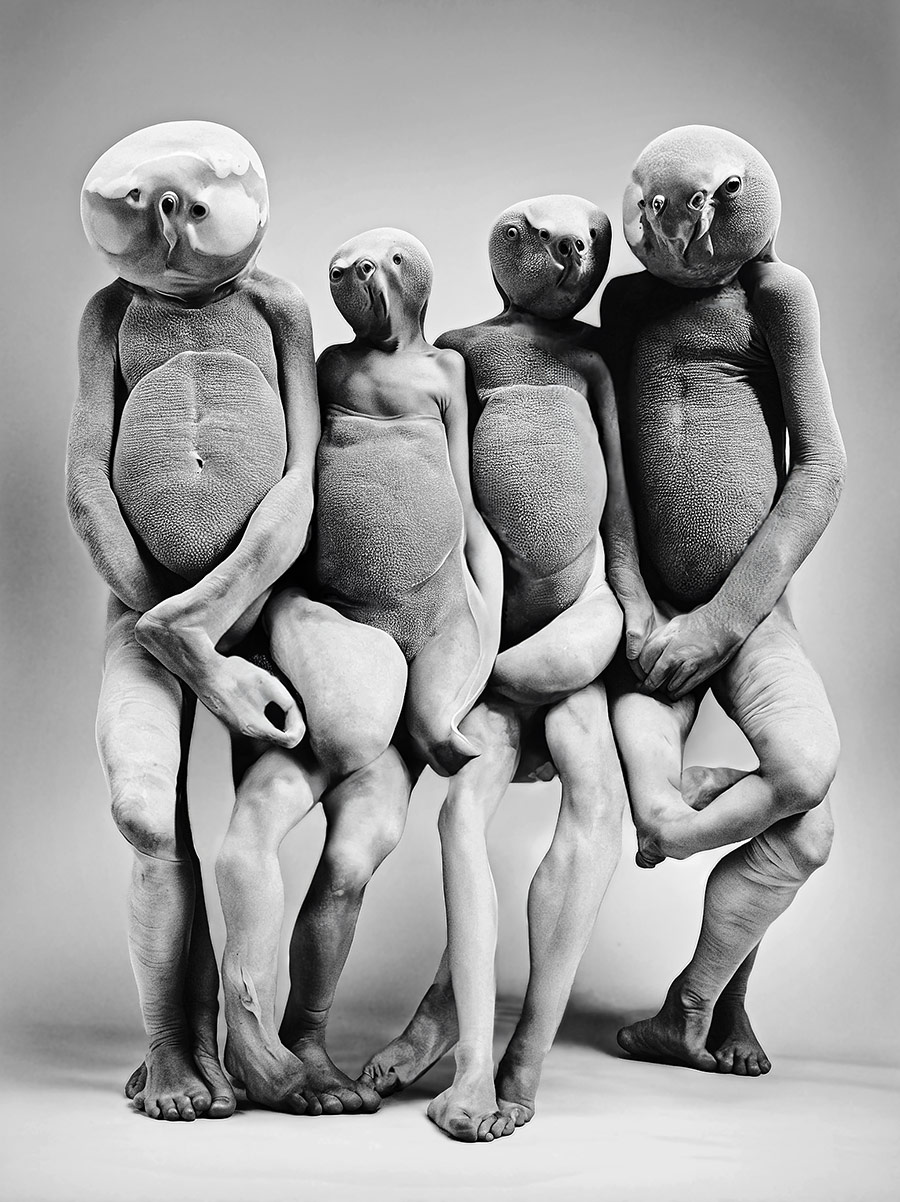 AI generated Bandphoto for Sc'ööf