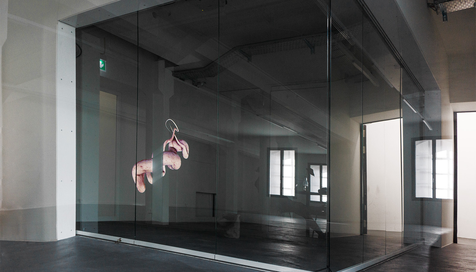 Esther Hunziker - Body Archive Project | Projection